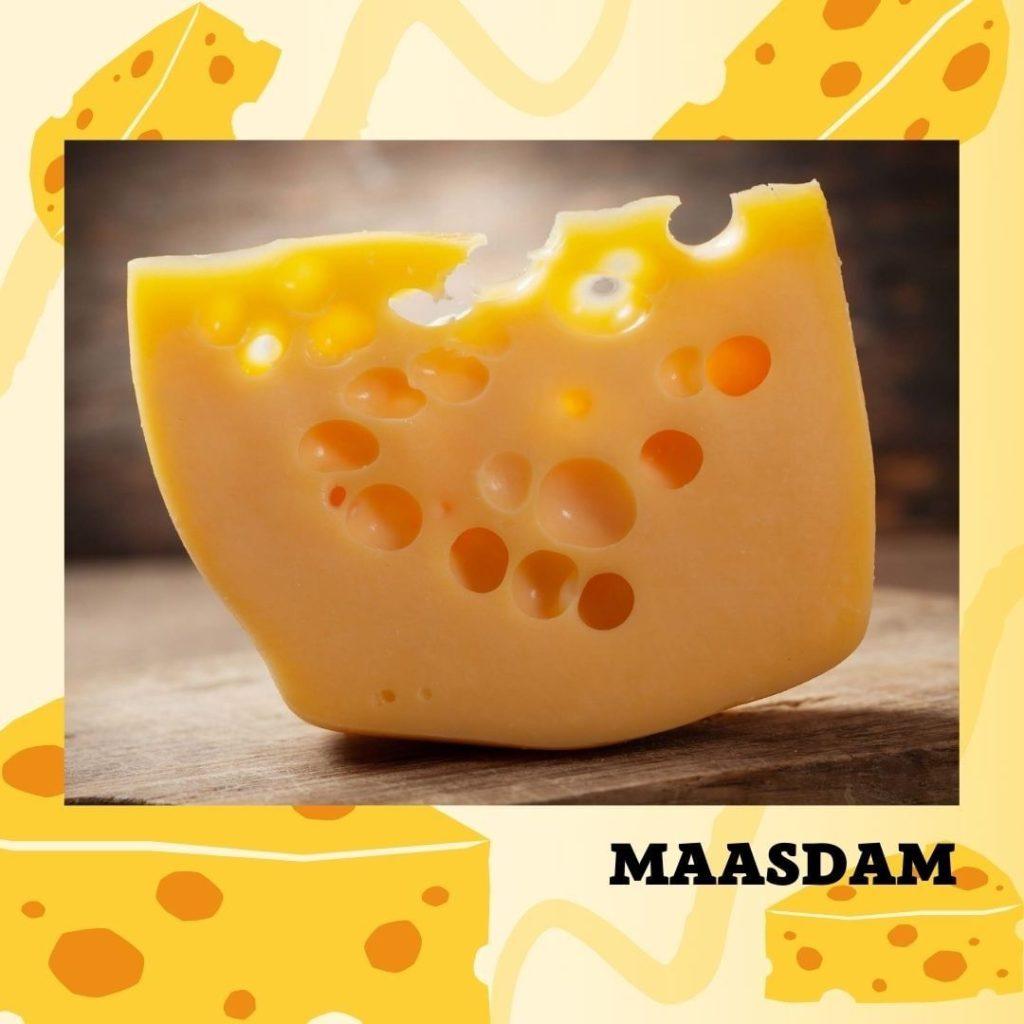 Maquinaria para la Elaboración del Queso Maasdam